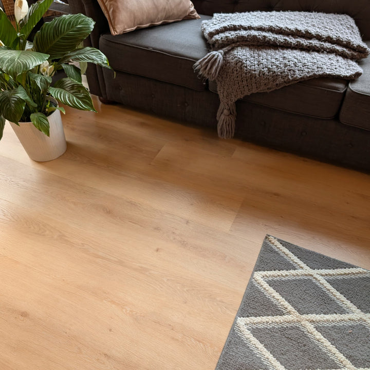 Allure Honey Butter Oak 22mil Luxury Vinyl Plank in a contemporary living room with couch and peace lily plant