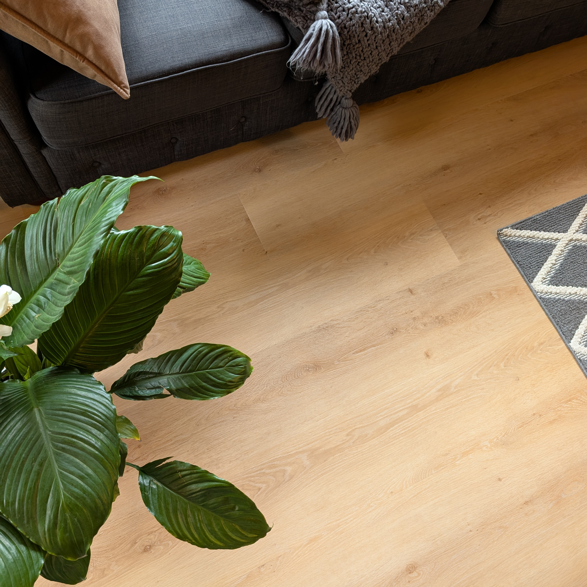 Alure honey butter oak plank flooring in a room with sofa and plant