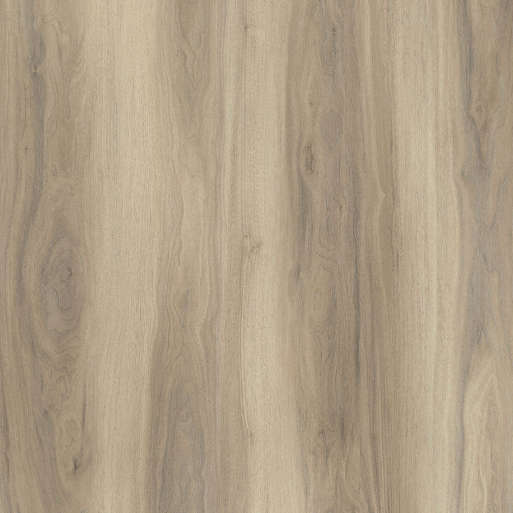 Allure Almond Honey Aspen Chevron ISOCORE vinyl flooring full design view
