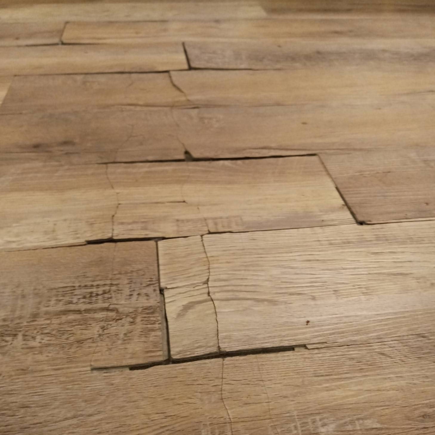 cheap thin brittle SPC flooring that's cracked apart in a ktichen