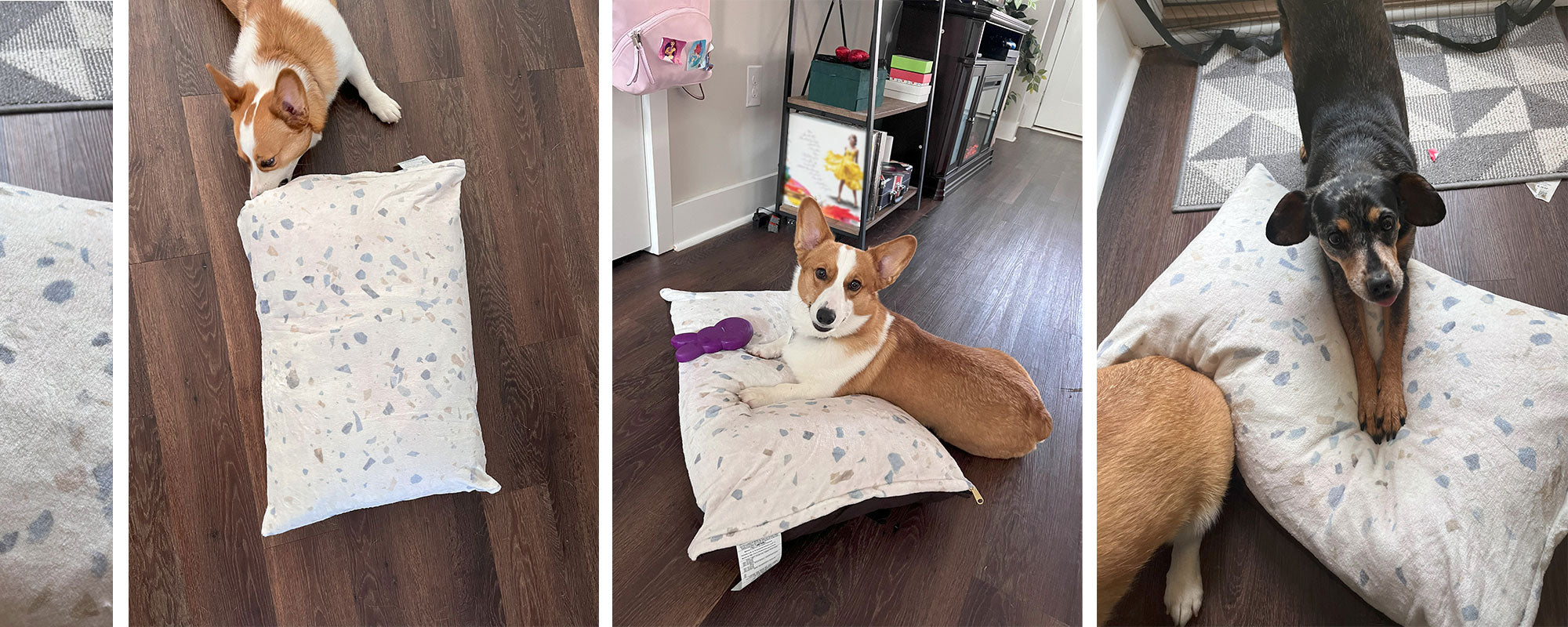 dogs playing with terrazzo dog bed on dark colored vinyl floor