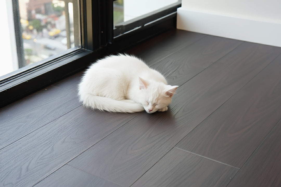 White cat lying on a dark LVP floor with a window in the background
