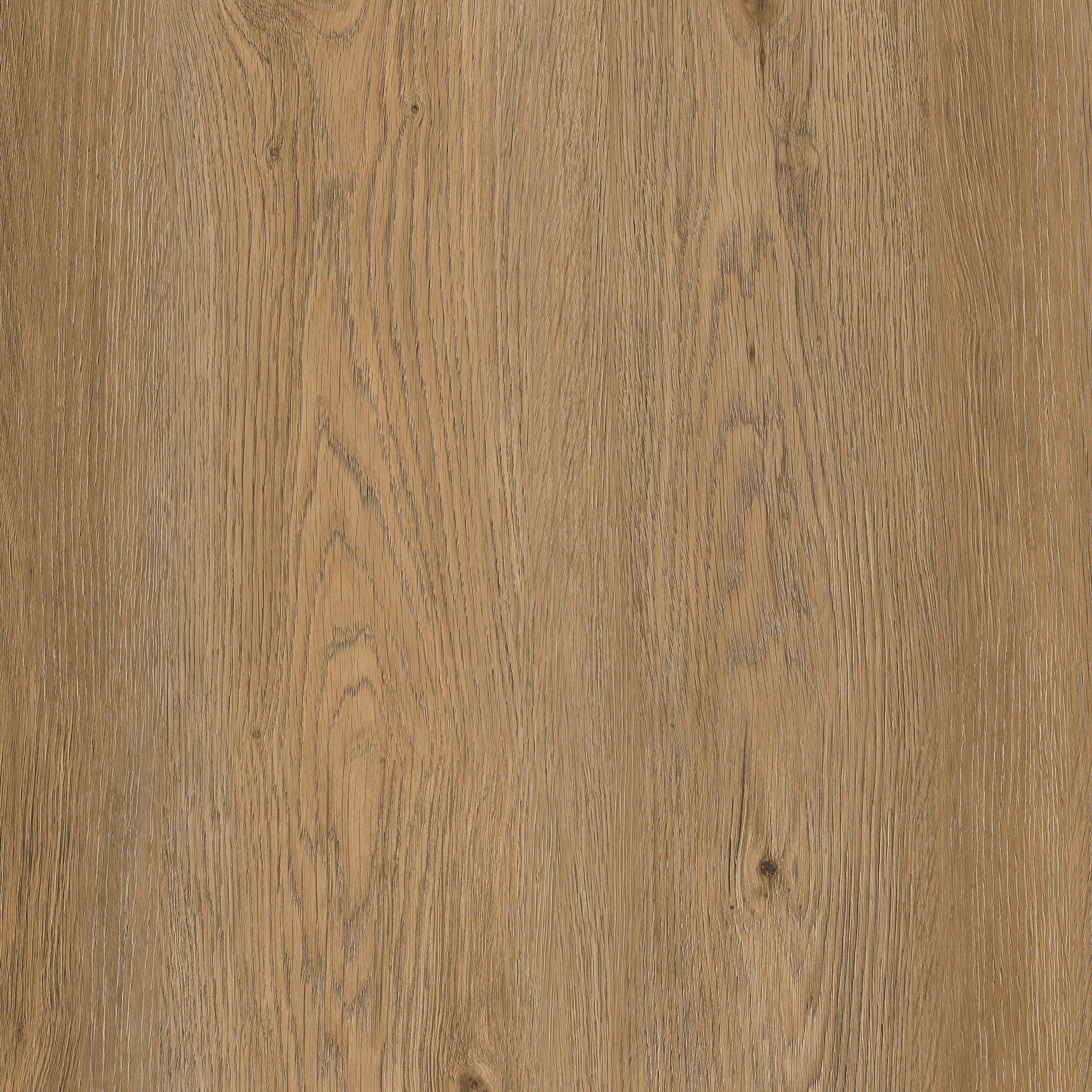 Allure Gingermisu Maple Rigid Core 22mil Wide Luxury Vinyl Plank