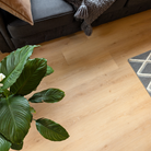 Alure honey butter oak plank flooring in a room with sofa and plant