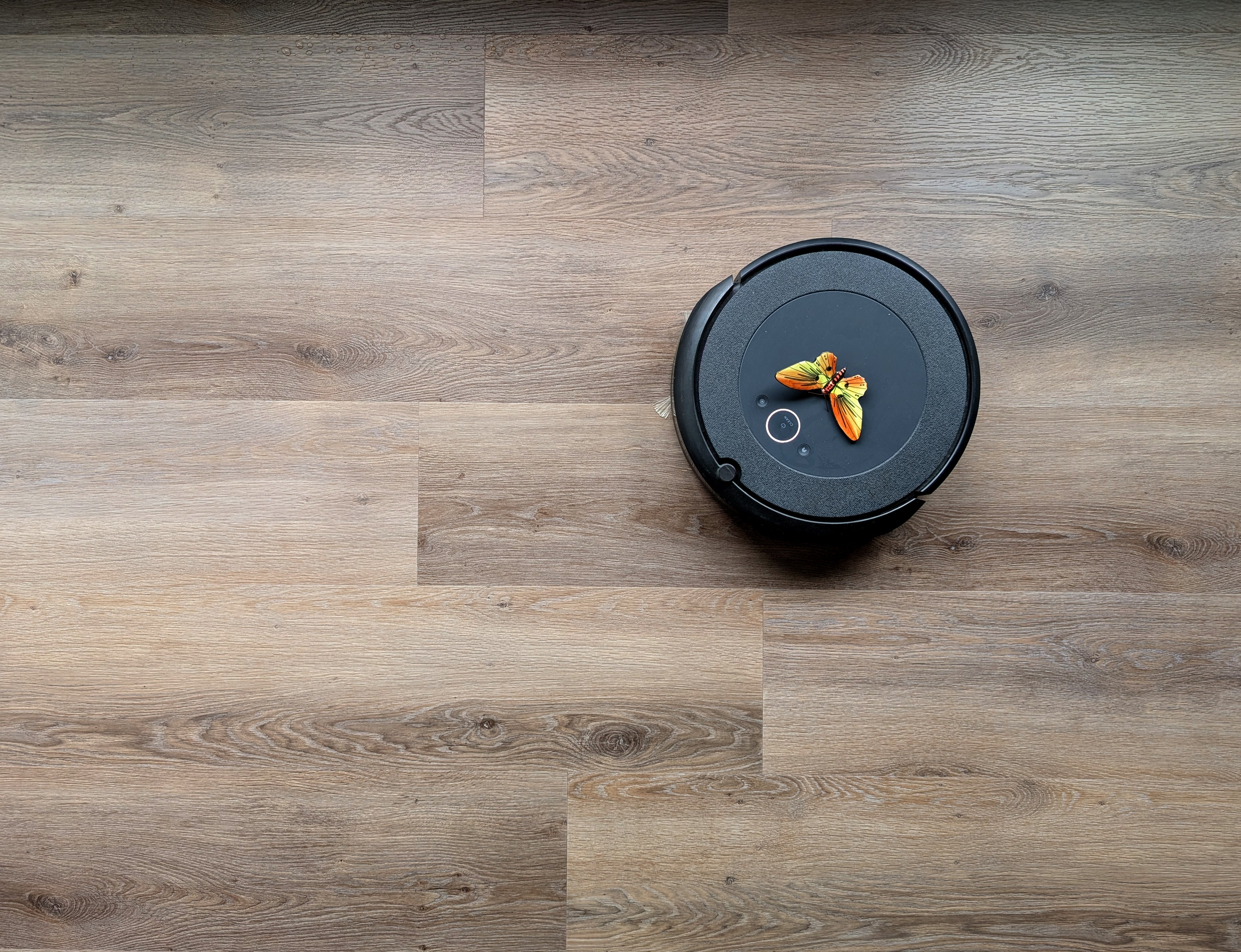 Allure Vinyl Flooring with robot vacuum and butterfly