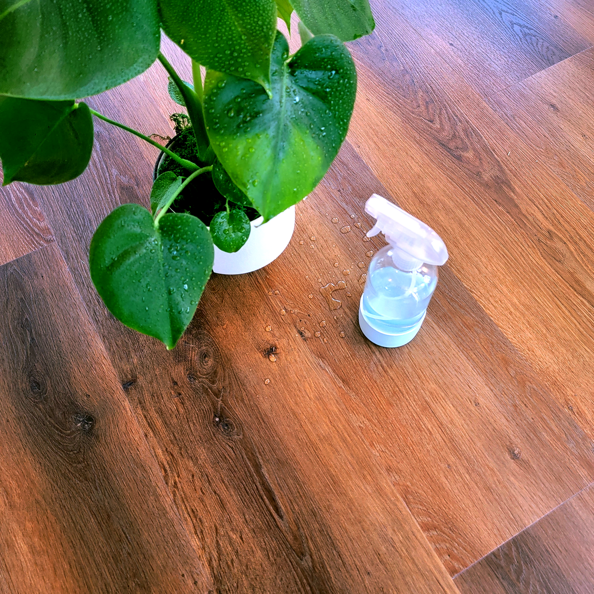 Potted plant on reddish brown Allure luxury vinyl floor with spray bottle