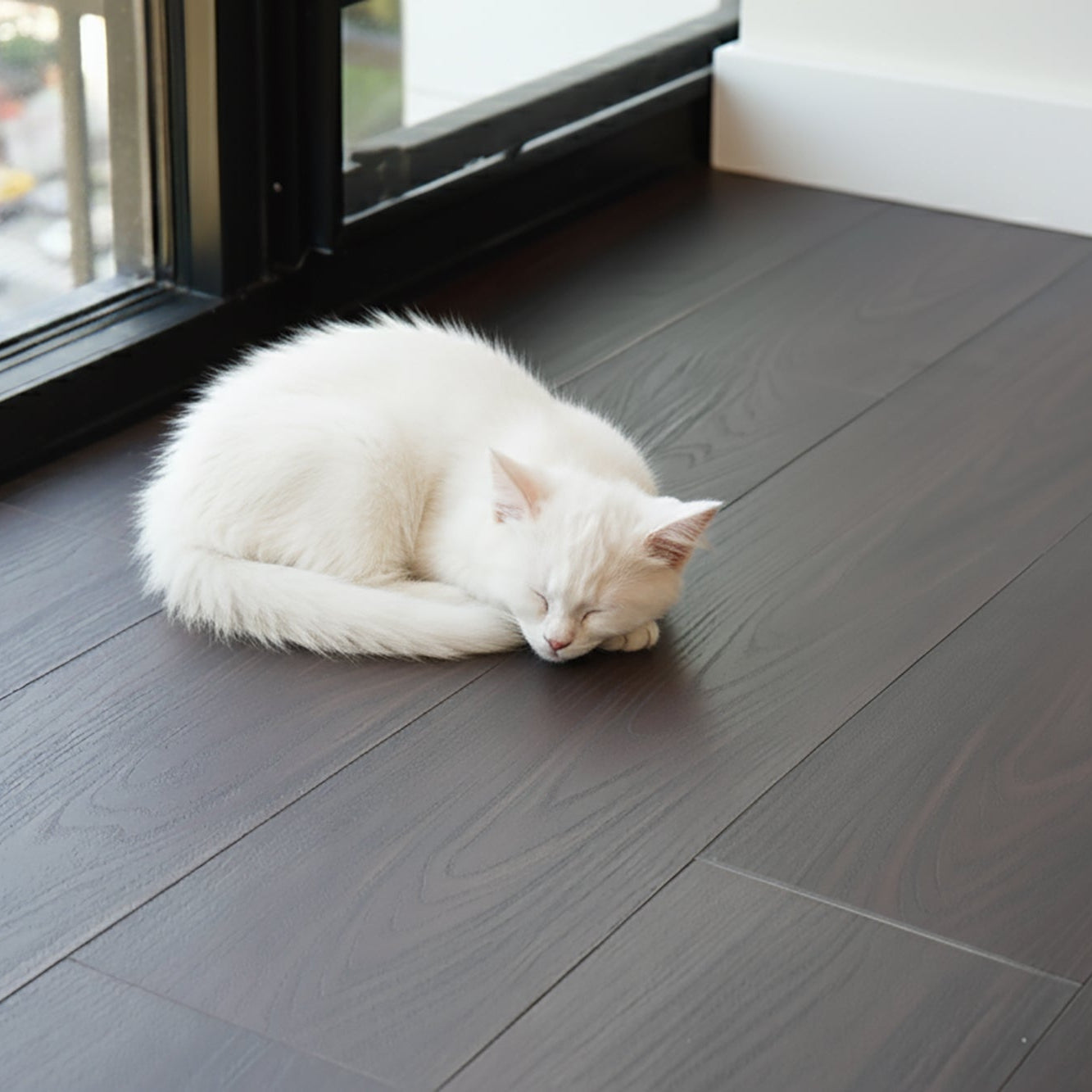 White cat lying on a dark LVP floor with a window in the background