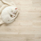White cat sleeping on a beige sweater on a wooden floor