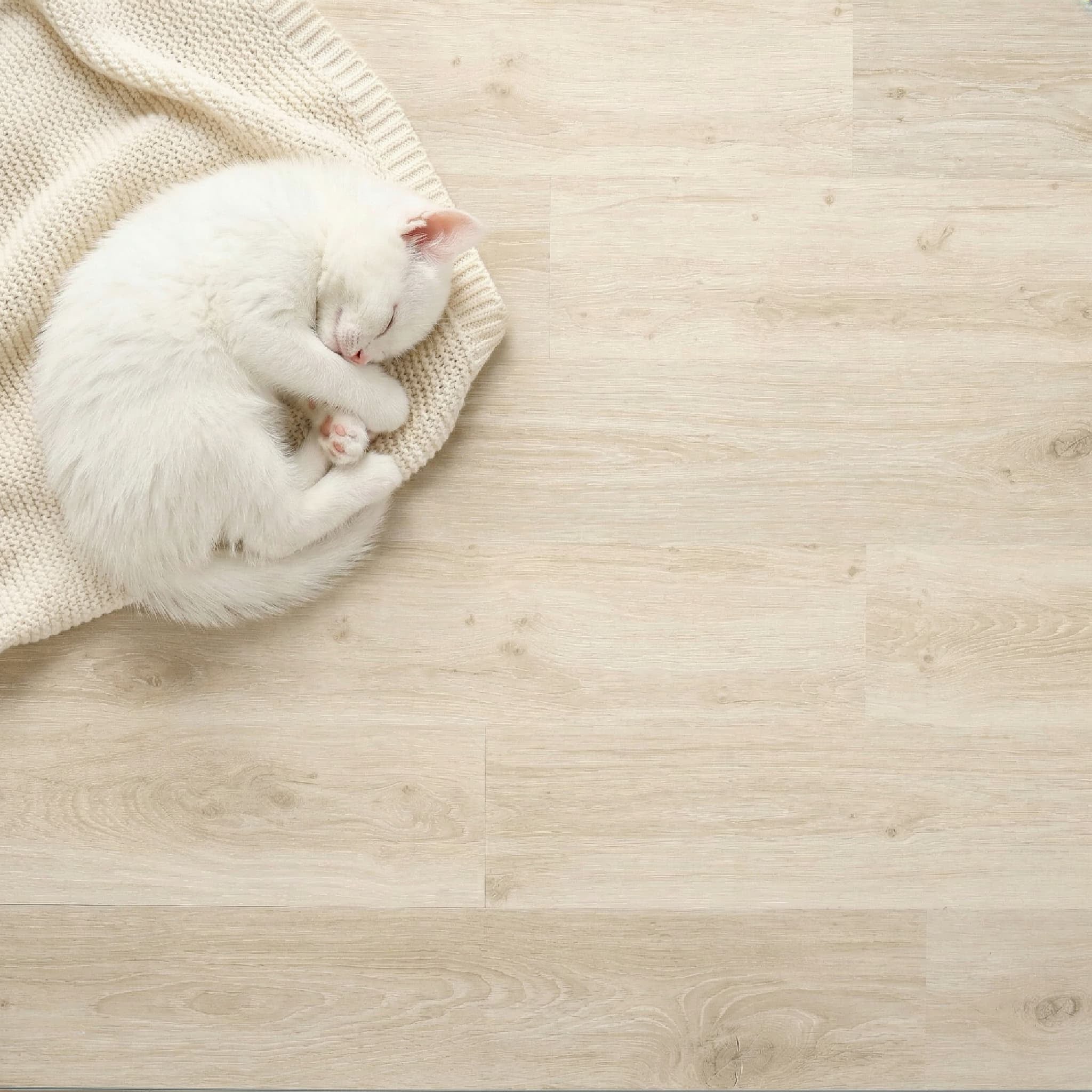 White cat sleeping on a beige sweater on a wooden floor
