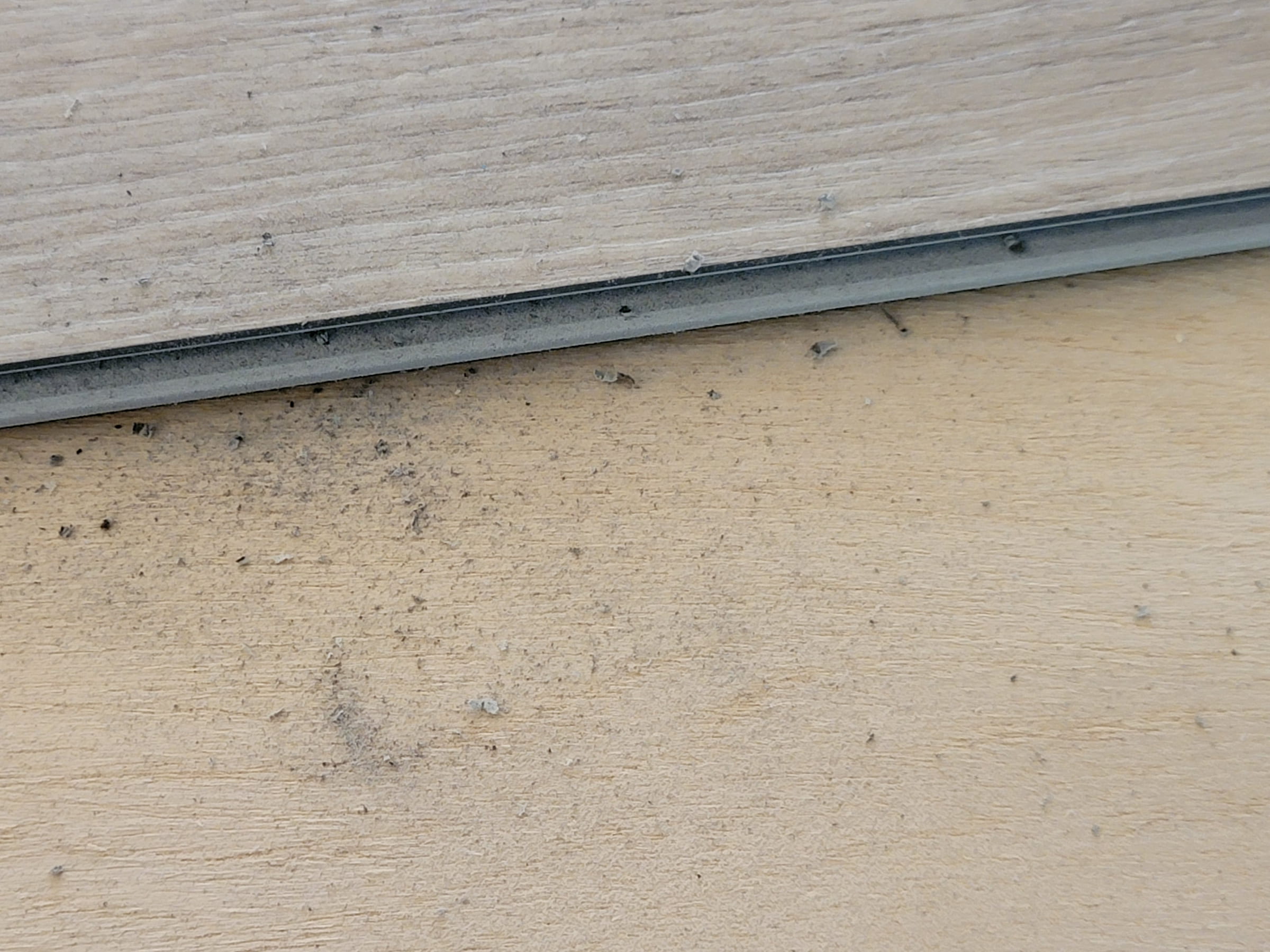 click lock vinyl flooring showing debris in locking edge