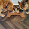 2 dogs making a mess drinking water from bowls on top of chevron vinyl flooring from Allure.