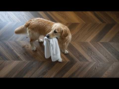 Allure Chevron Vinyl Flooring Commercial